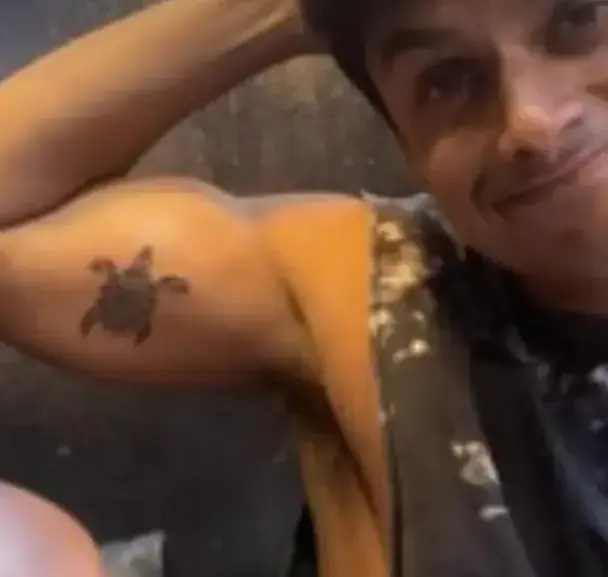 Turtle tattoo